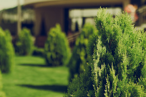 战术大师的智慧,Blast Premier积分榜上的博弈艺术 战术大师的智慧,Blast Premier积分榜上的博弈艺术